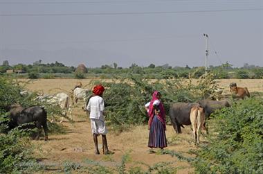 02 PKW-Reise_Jodhpur-Mount_Abu_DSC3965_b_H600